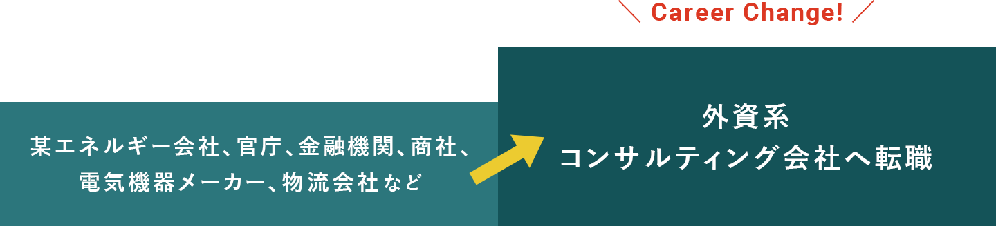 某エネルギー会社、官庁、金融機関、商社、電気機器メーカー、物流会社など → 外資系コンサルティング会社へ転職